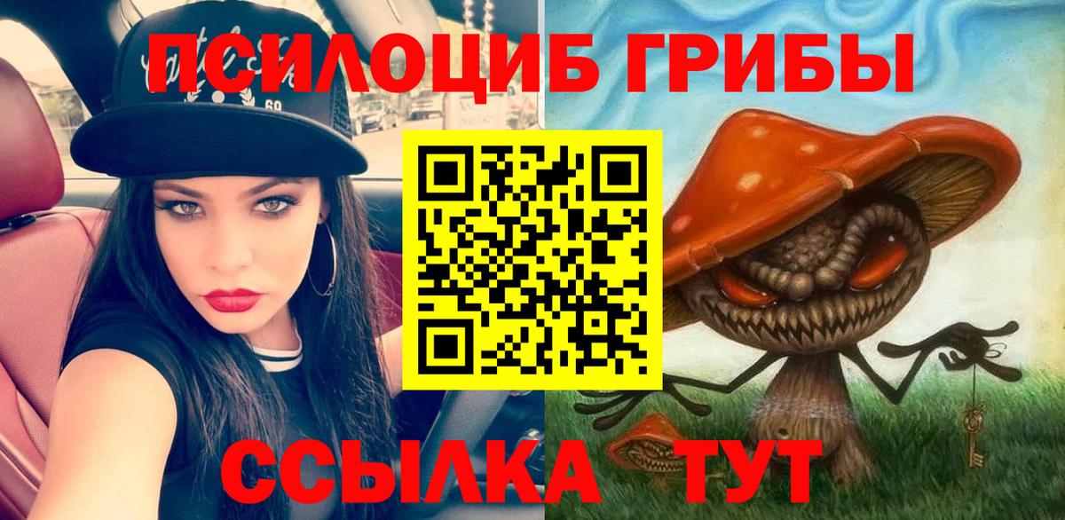 Галлюциногенные грибы GOLDEN TEACHER  Псилоцибиновые грибы GOLDEN TEACHER  Вход с VPN  Смоленск 