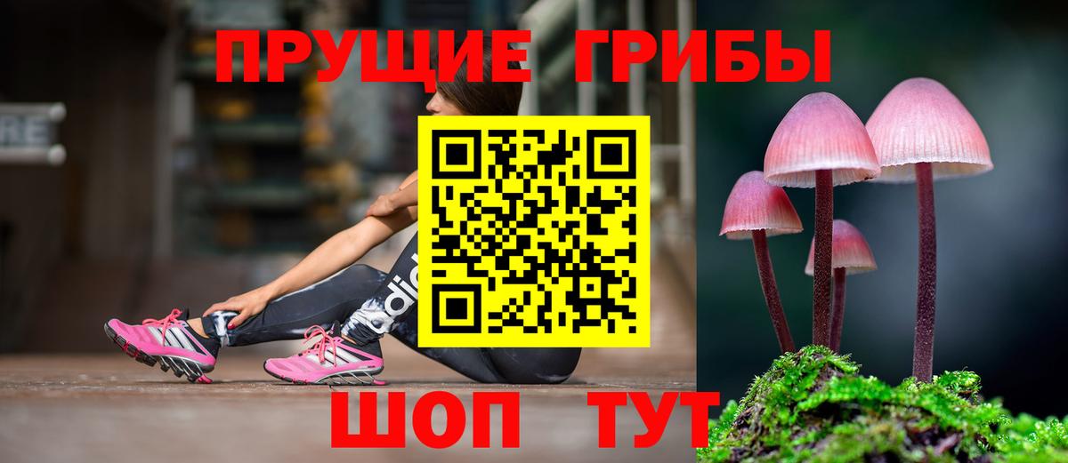 Псилоцибиновые грибы мухоморы Смоленск